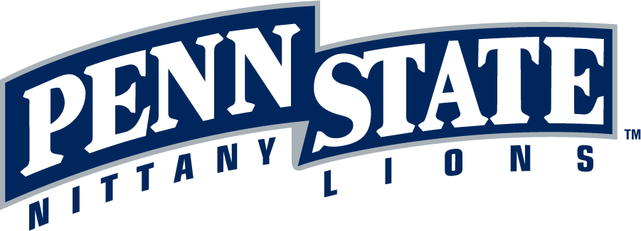 Penn State Nittany Lions 1996-2008 Wordmark Logo v2 diy iron on heat transfer